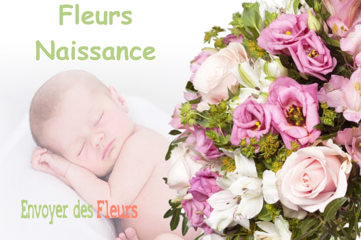 lIVRAISON FLEURS NAISSANCE à LAGRAULET-SAINT-NICOLAS